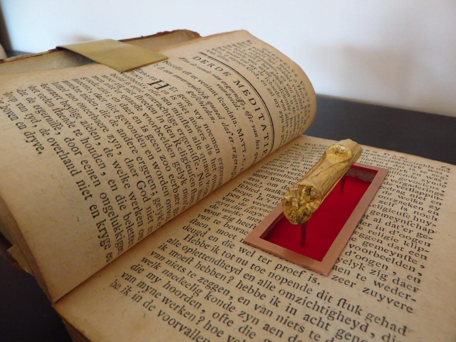 Peter Deleu, Gouden tak, mixed media