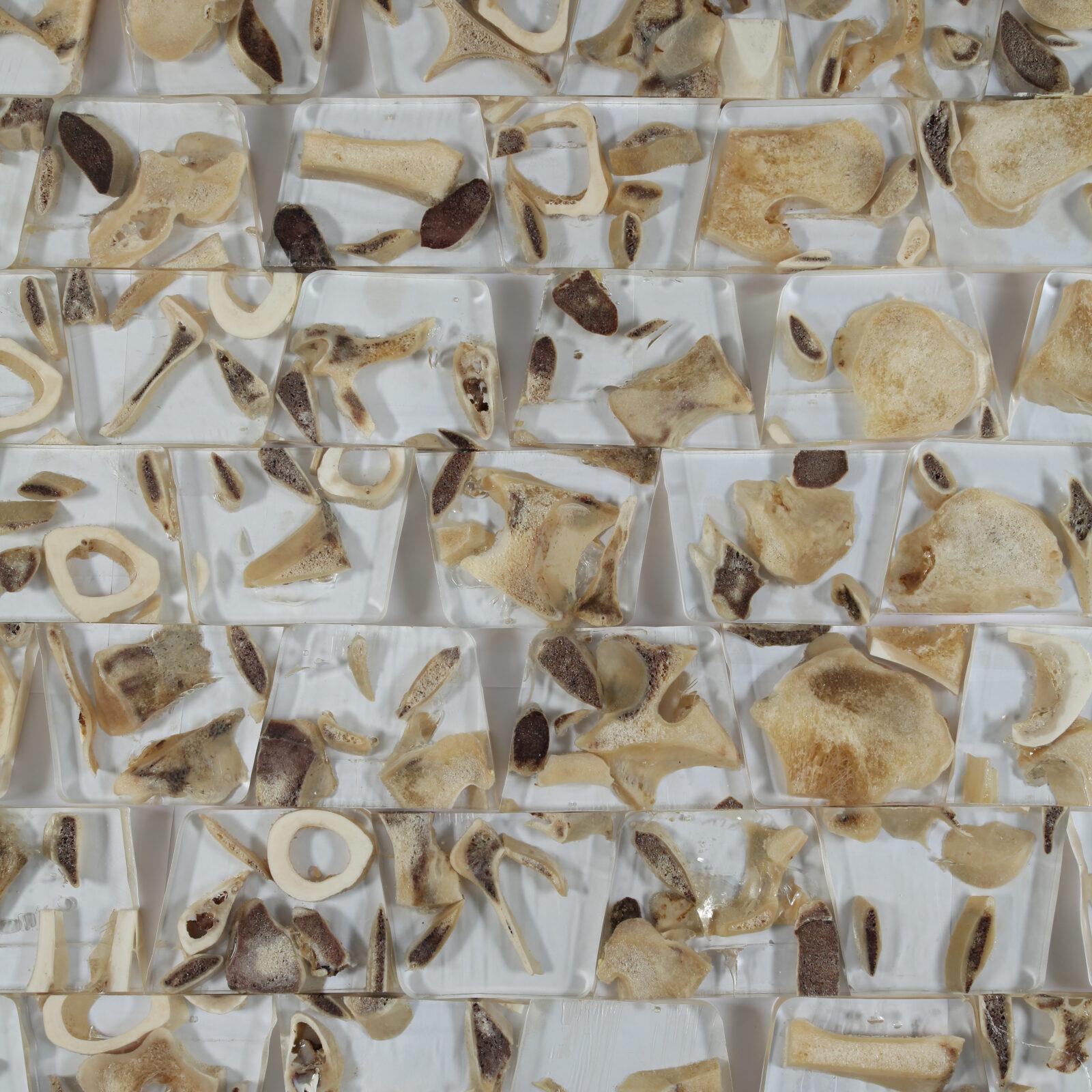 Bart Lens, Bones aspic, (C) Ph van Gelooven