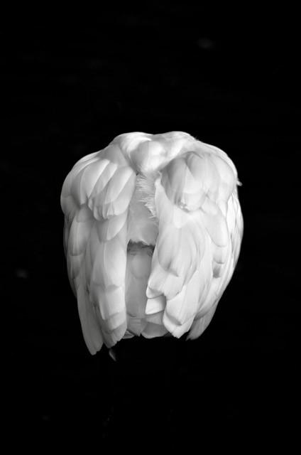 Trees De Mits, Hersagi, mixed media, 2019-2020, 40 x 60 cm