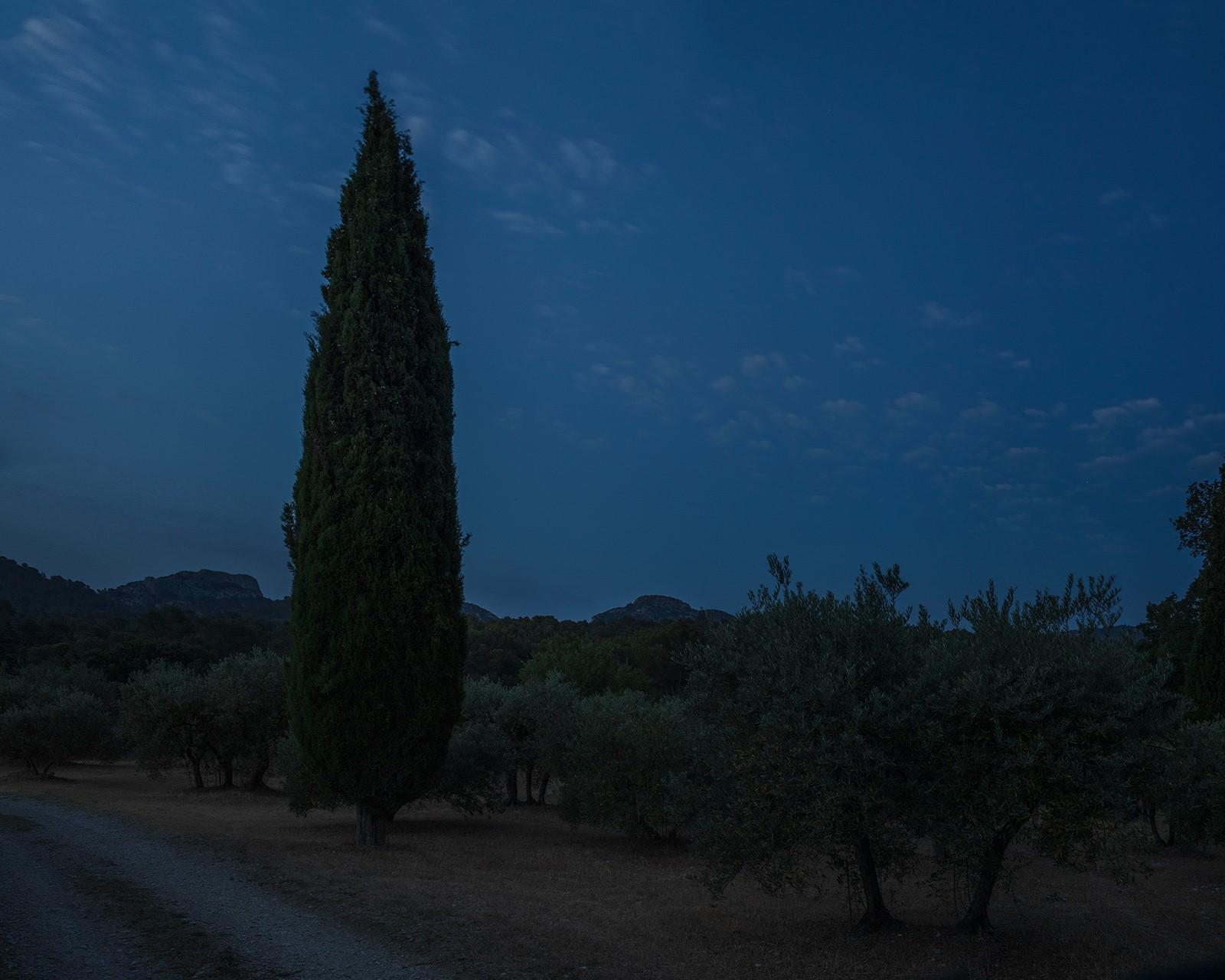 Karin Borghouts, Serie 'Vincent was here’, fotografie