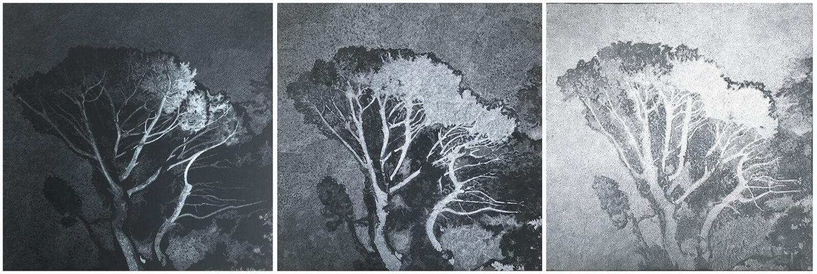 Mireille Robbe, Lumière-I,II&III, 2020