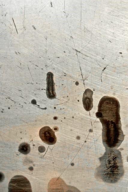 Trees De Mits, Toji, foto op Dibond, 2017, 40 x 60 cm