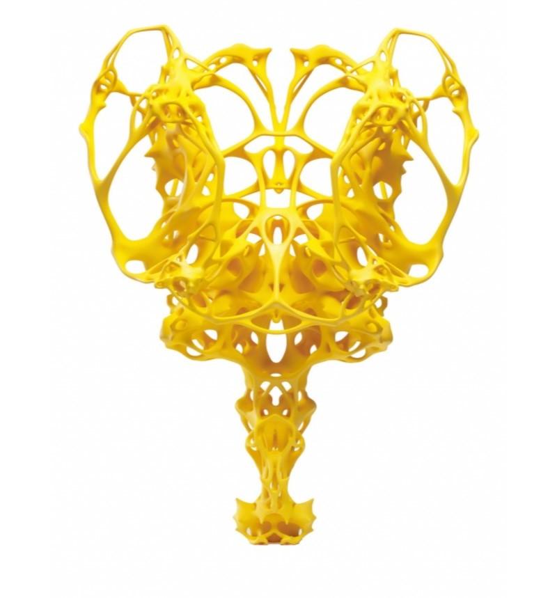 Nick Ervinck, Ikrausim, 3D Print, 60 x 46 x 35 cm, 2009