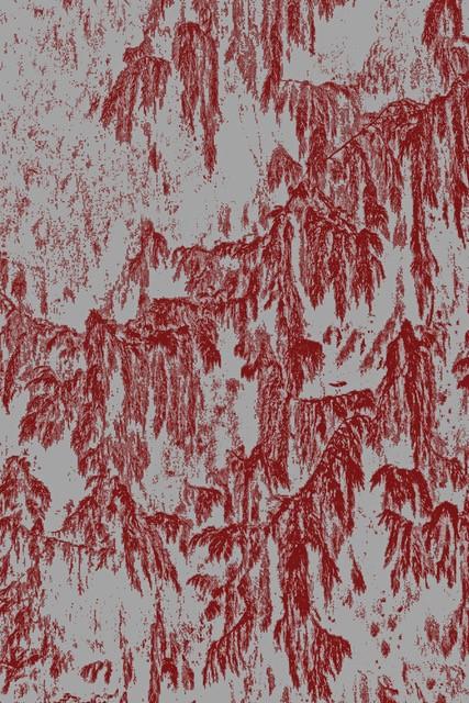 Trees De Mits, Zonder titel, foto op Dibond, 2020, 40 x 60 cm