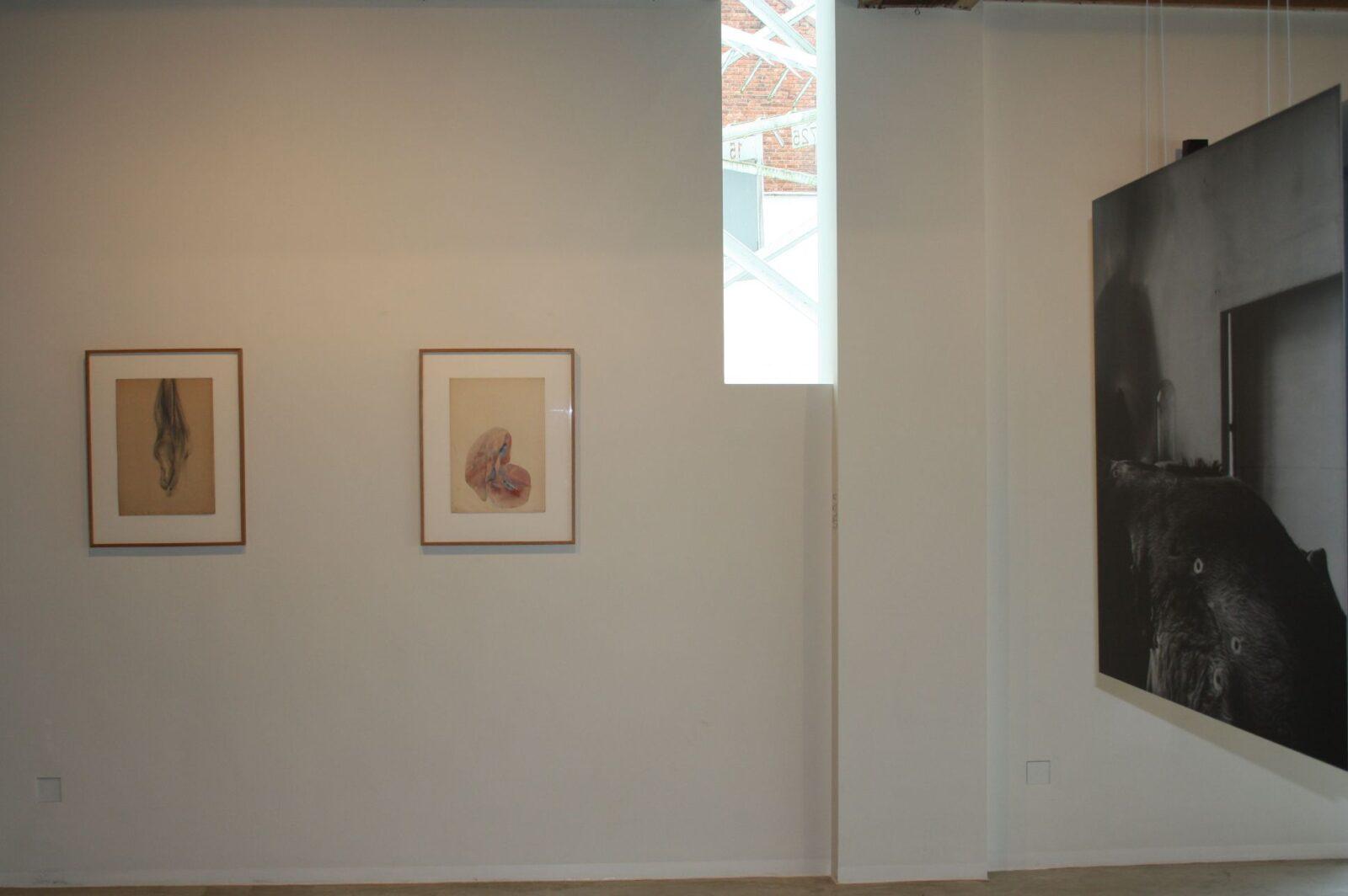 Berlinde de Bruyckere, Kunstenaarsateliers, Heusden-Zolder, 2011