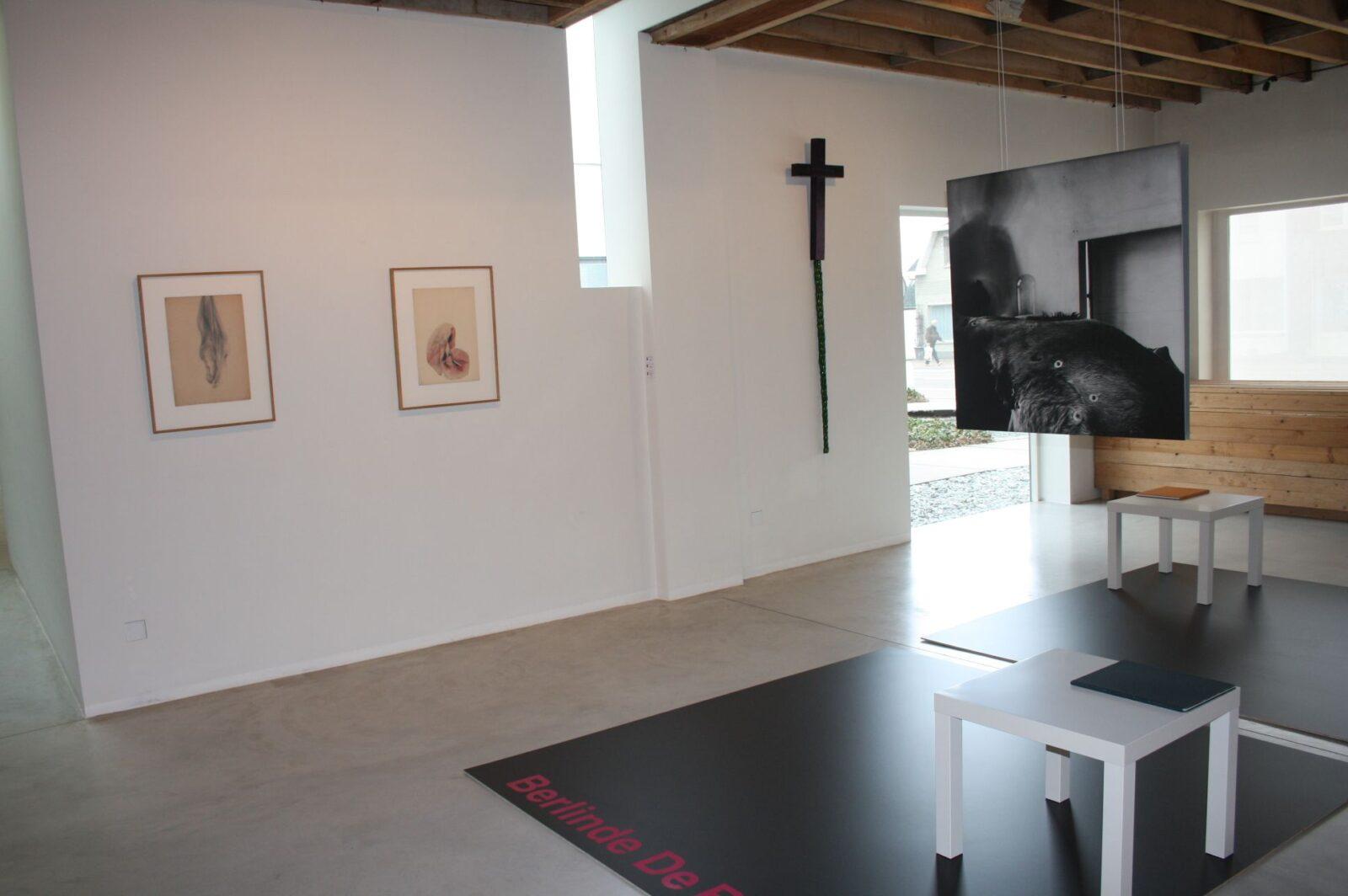 Berlinde de Bruyckere, Kunstenaarsateliers, Heusden-Zolder, 2011