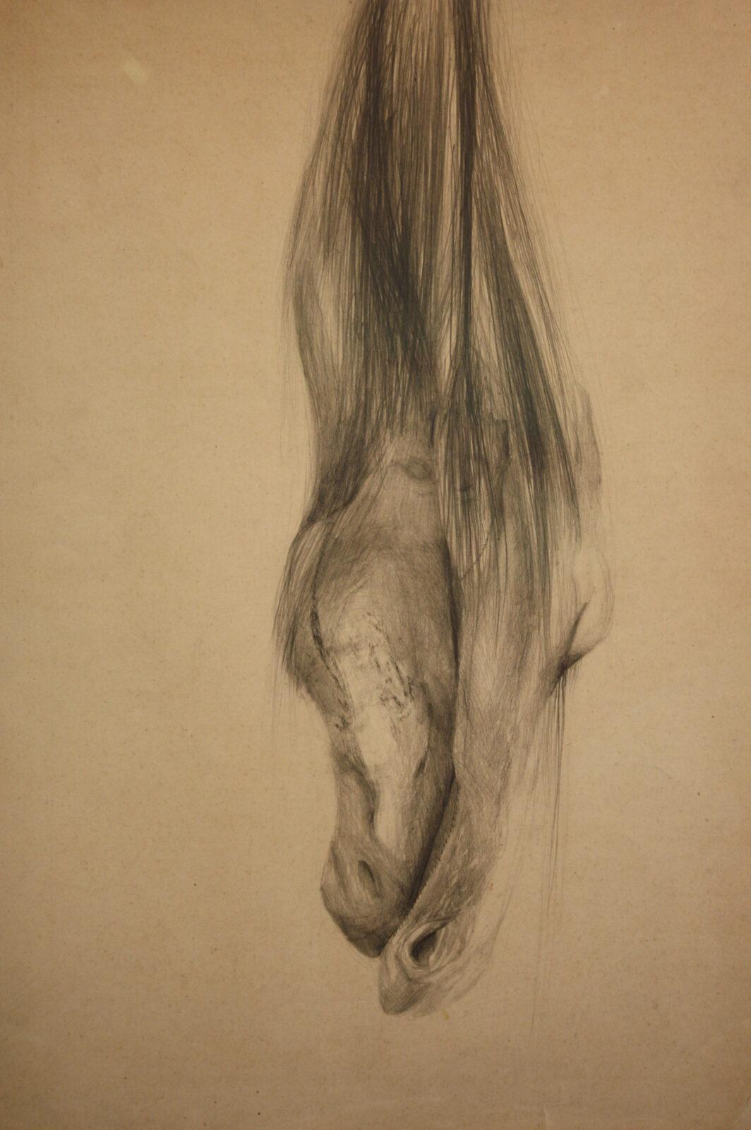 Berlinde De Bruyckere, Kunstenaarsateliers, Heusden-Zolder, 2011