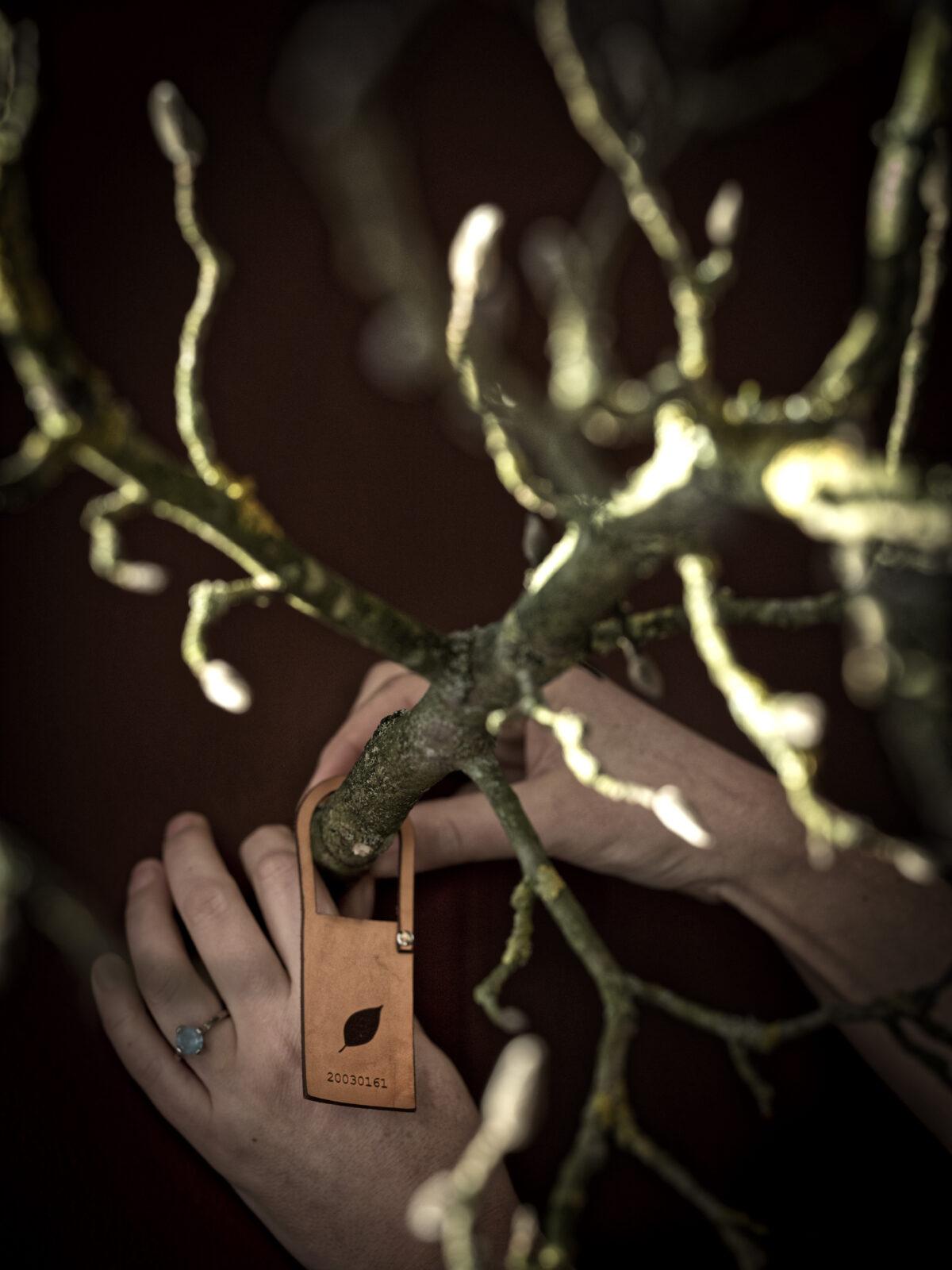 Karen Wuytens, installatie torenkamer kasteel Bokrijk, divers, 2016