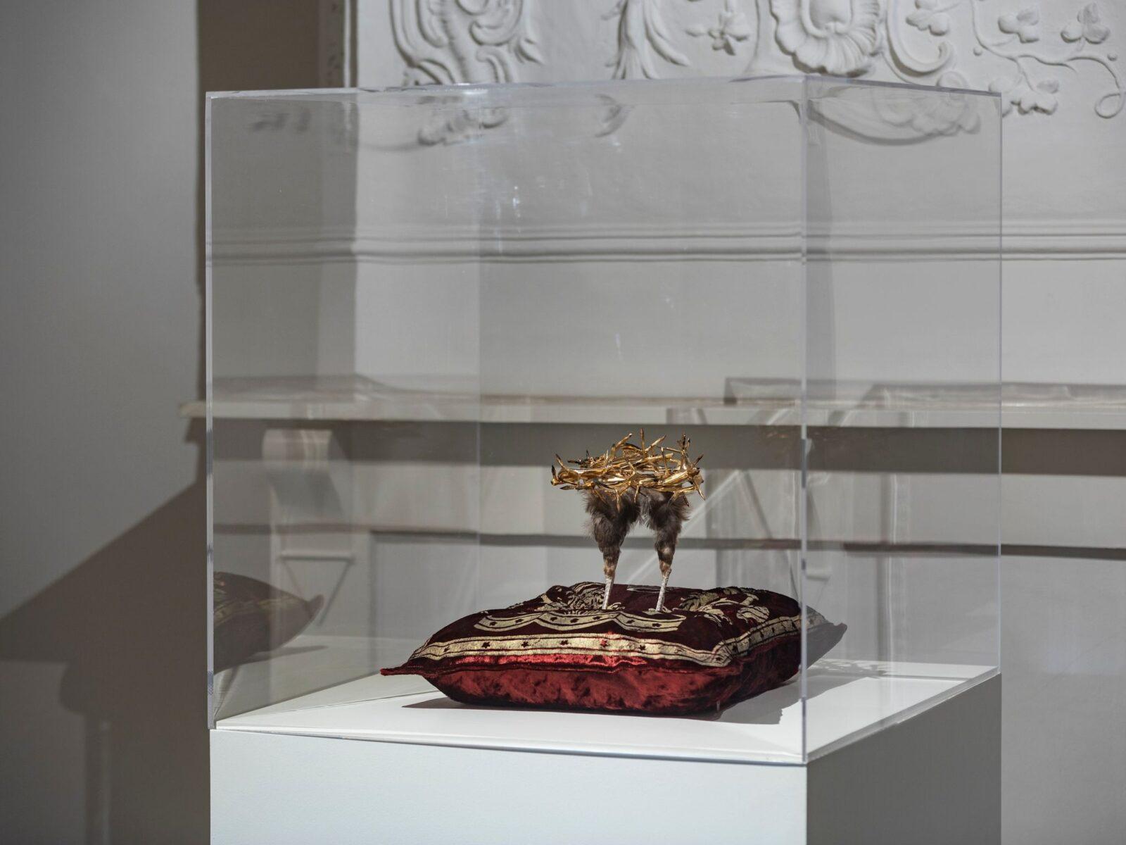 Koen Vanmechelen,, Ménage à Deux, Stadsmus Hasselt, Extra Muros, 2020