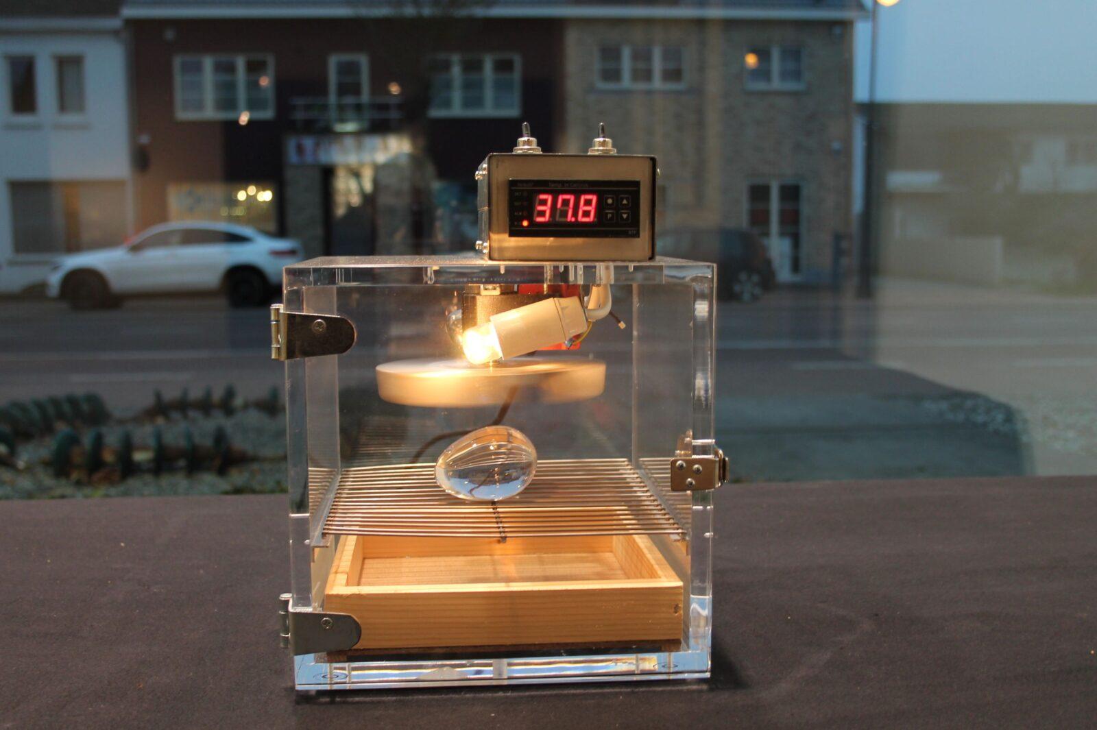 Koen Vanmechelen, D'As Best, Heusden-Zolder, 2019