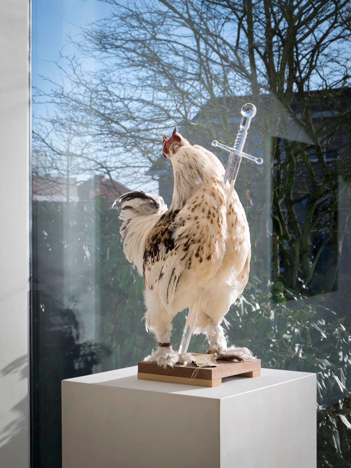 Koen Vanmechelen, Glassworks, Heusden-Zolder, 2015