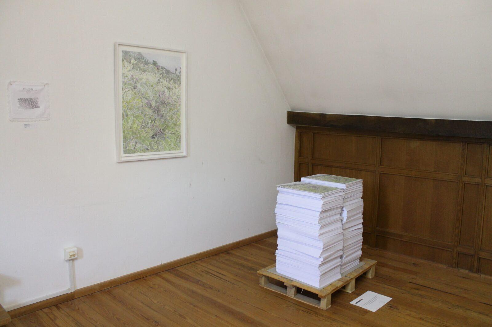 Stijn Cole, Celibataire Diva's, Extra Muros, Herkenrodekazerne Hasselt, 2017