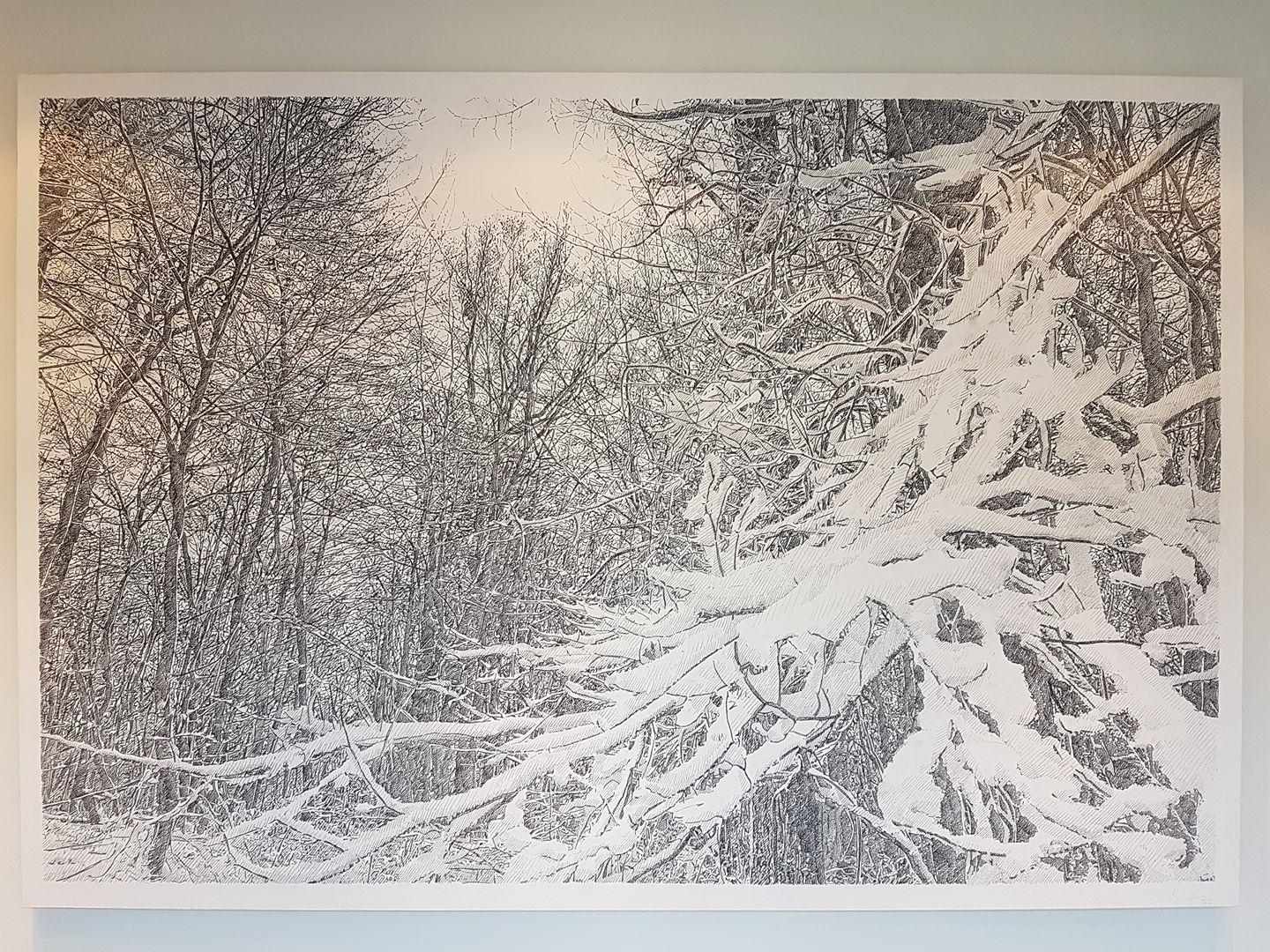 Stijn Cole, Tree of Life, Heusden-Zolder, 2016