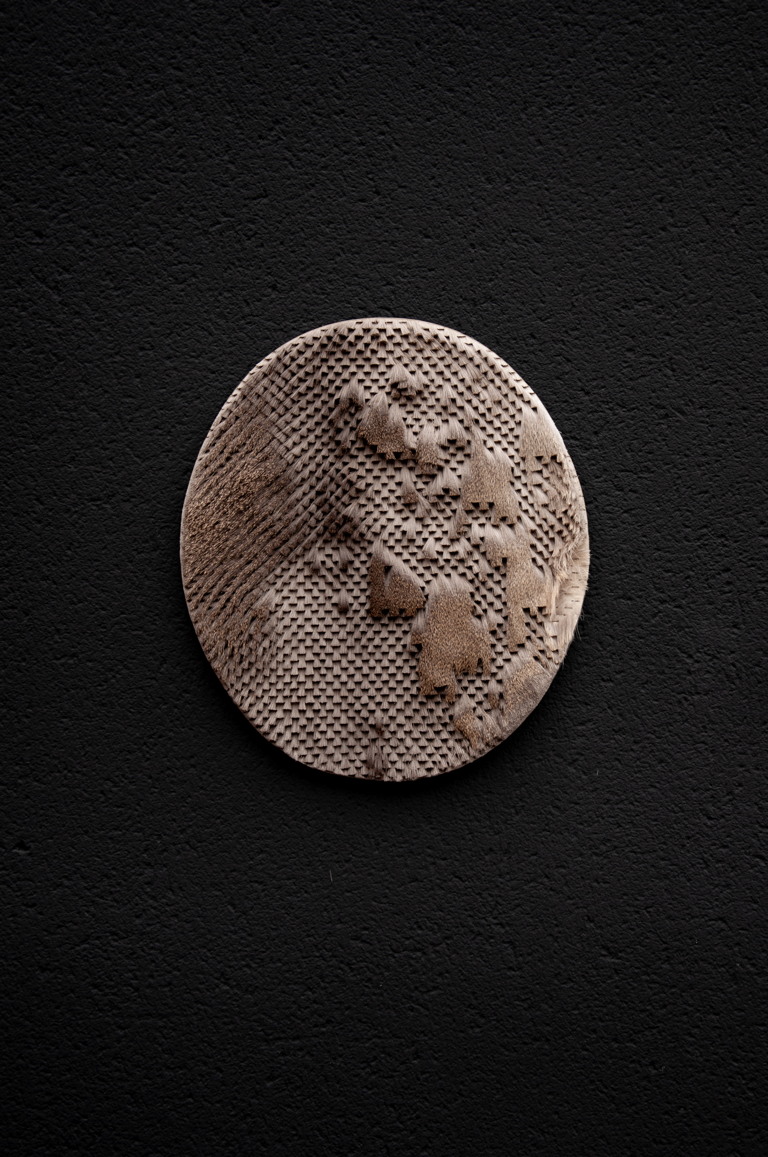 Lore Langendries, Survived #2, 2019