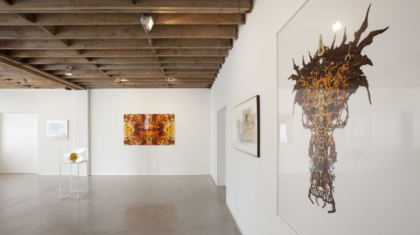 2014 Lismonde-Ervinck