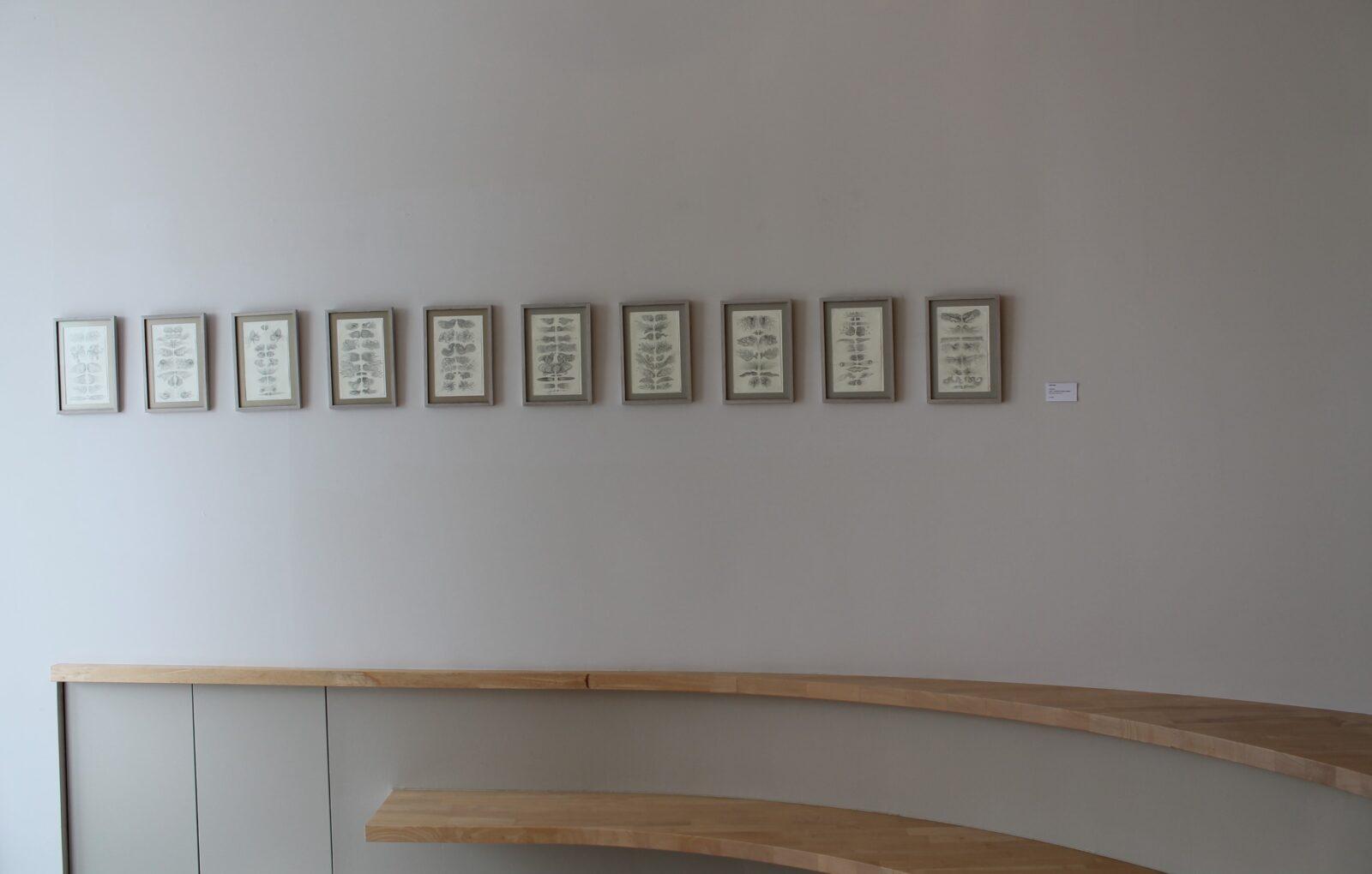 2017 Gradient: Joke Raes