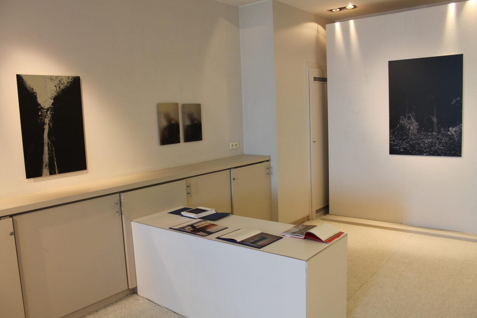 2019 Noordeloos: Trees De Mits