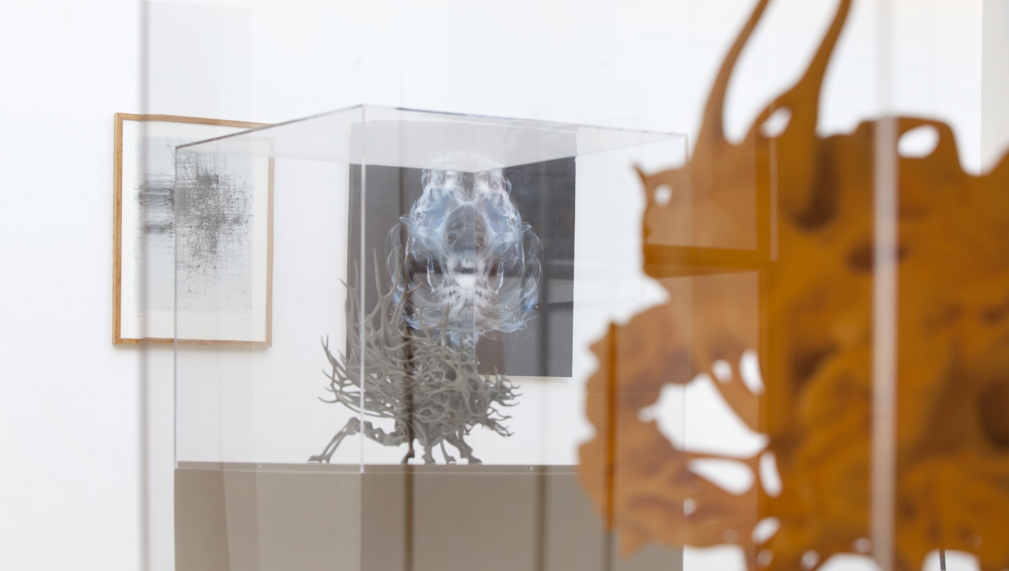 2014 Lismonde-Ervinck