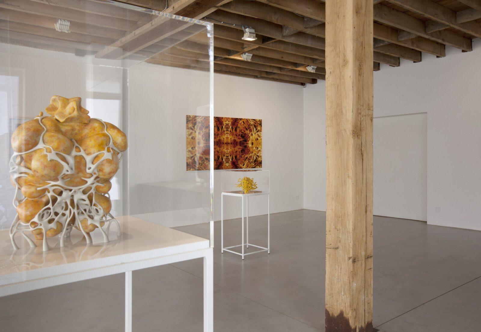 2014 Lismonde-Ervinck