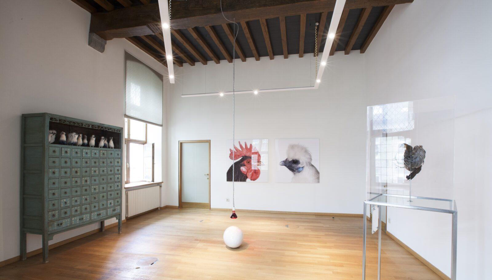 2017 Celibataire Divas: Koen Vanmechelen