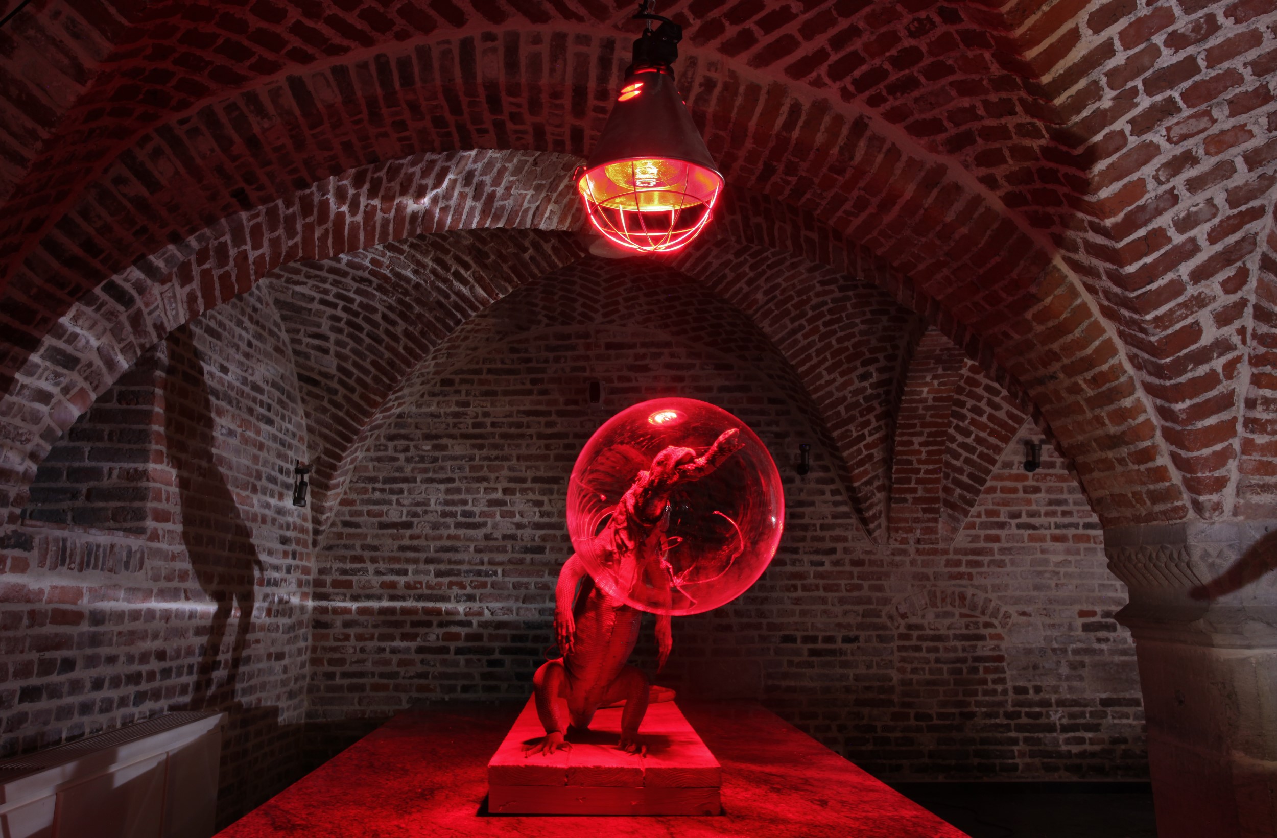 2012 Combat: Koen Vanmechelen