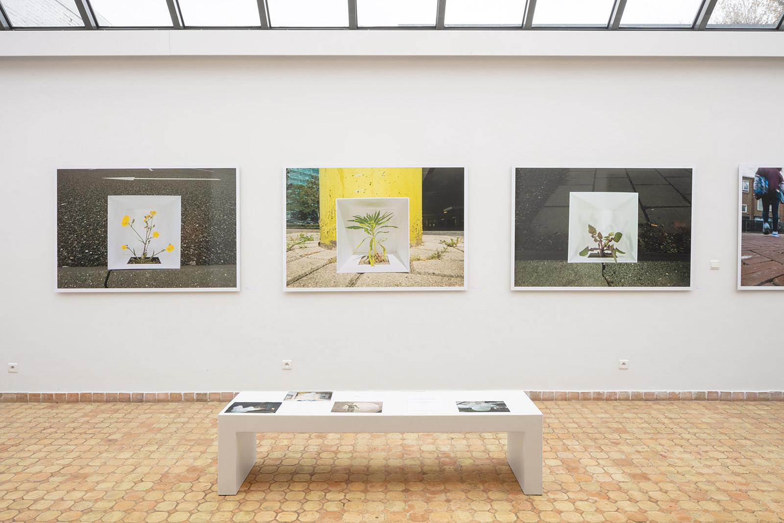 2020 Commedia dell’Arte: Rob Sweere