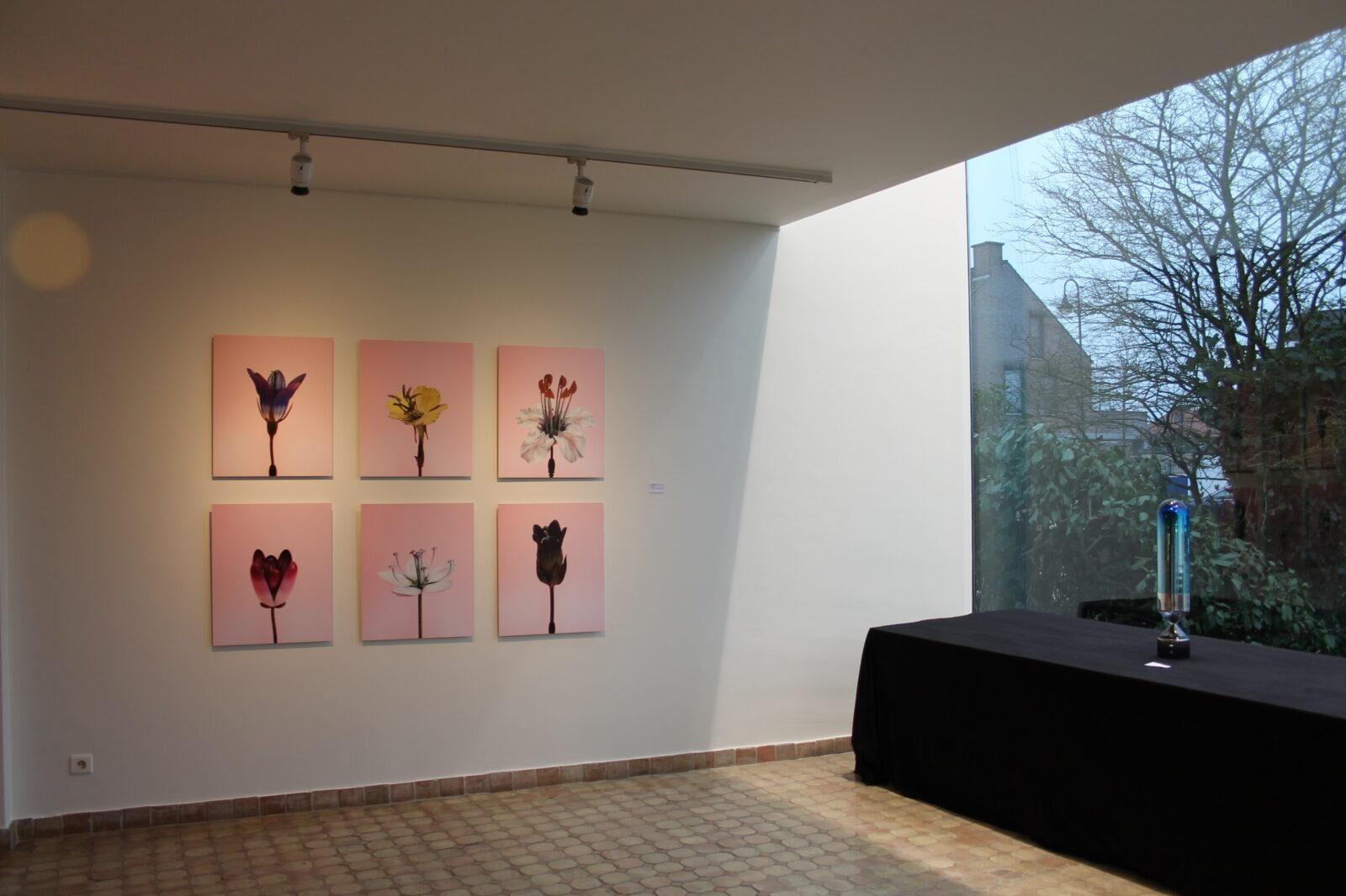 2019 D'As best !!! 16 aan Zet: Jeroen Maes, Karin Borghouts