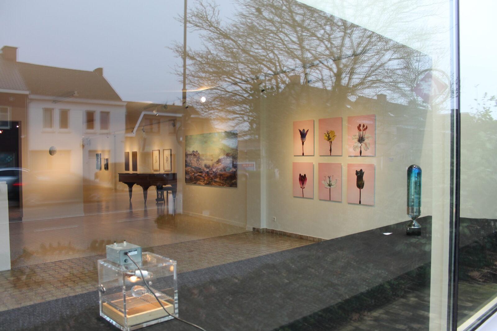 2019 D'As best !!! 16 aan Zet