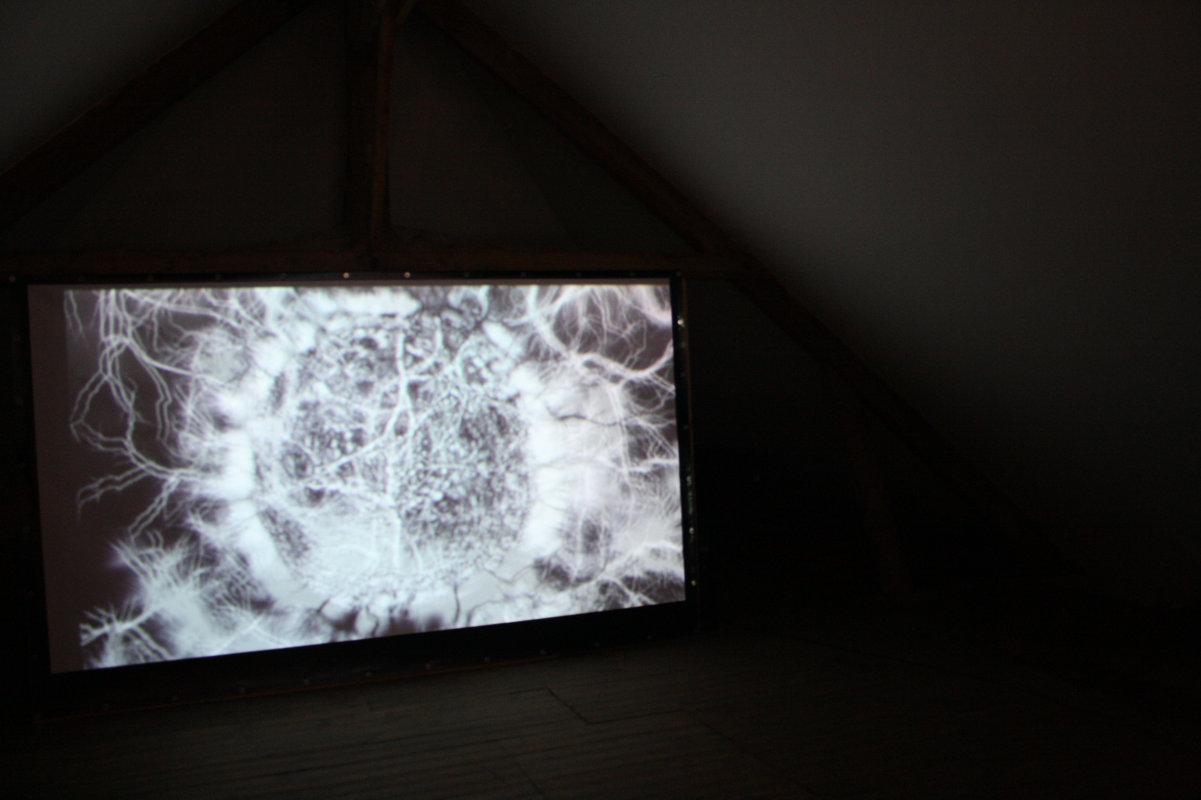 2012 Manifesta - High Voltage