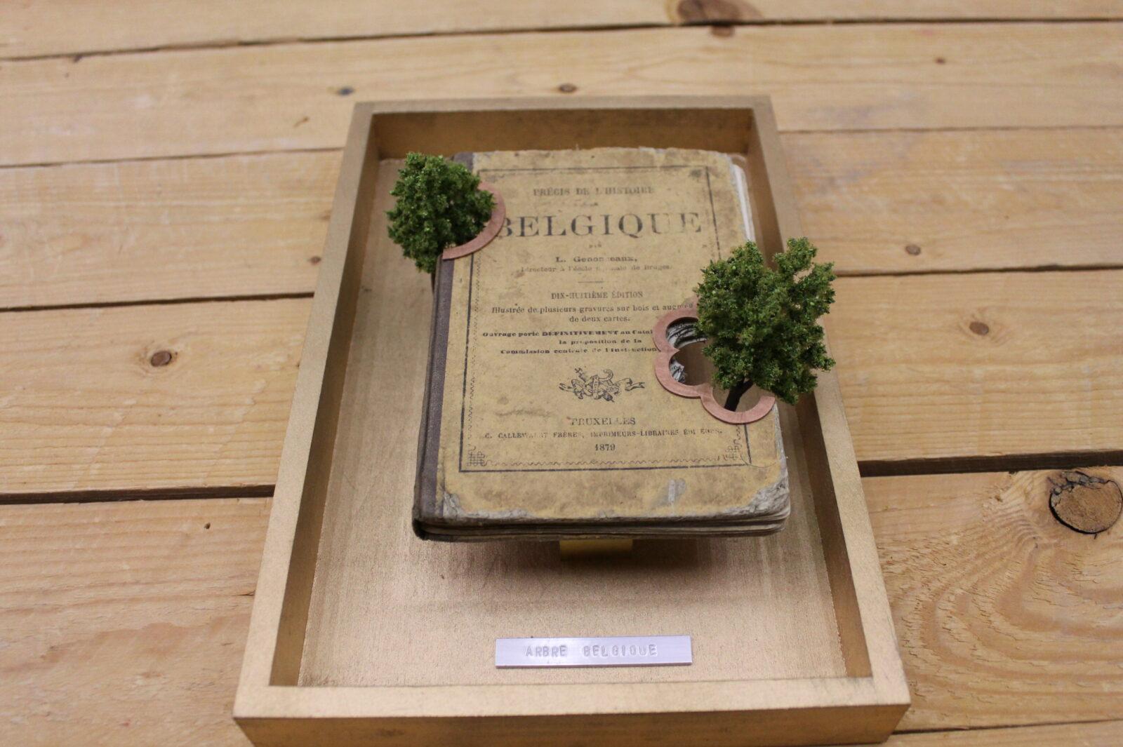 2016-2017 Tree of Life: Peter Deleu