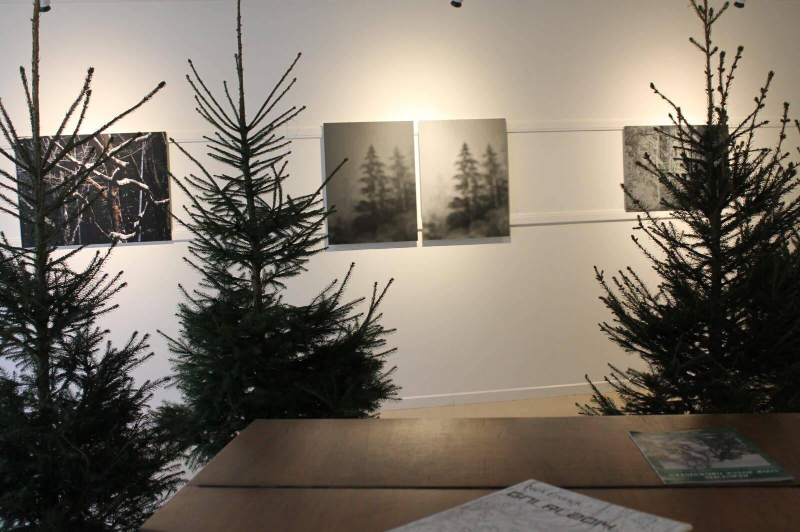 2016-2017 Tree of Life: Trees De Mits, Hanne Van Rompaey