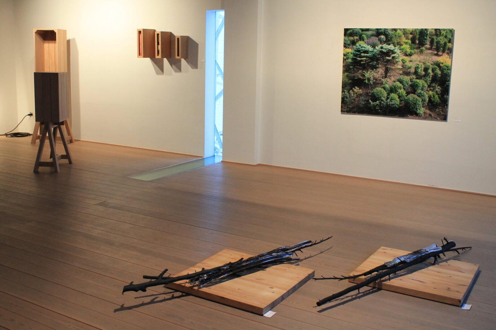 2016-2017 Tree of Life: Karin Borghouts, Christine Vanoppen, Casimir