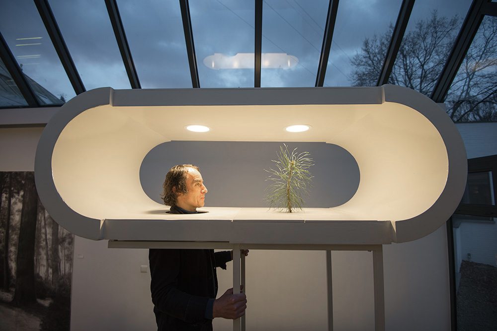 2016-2017 Tree of Life: Rob Sweere