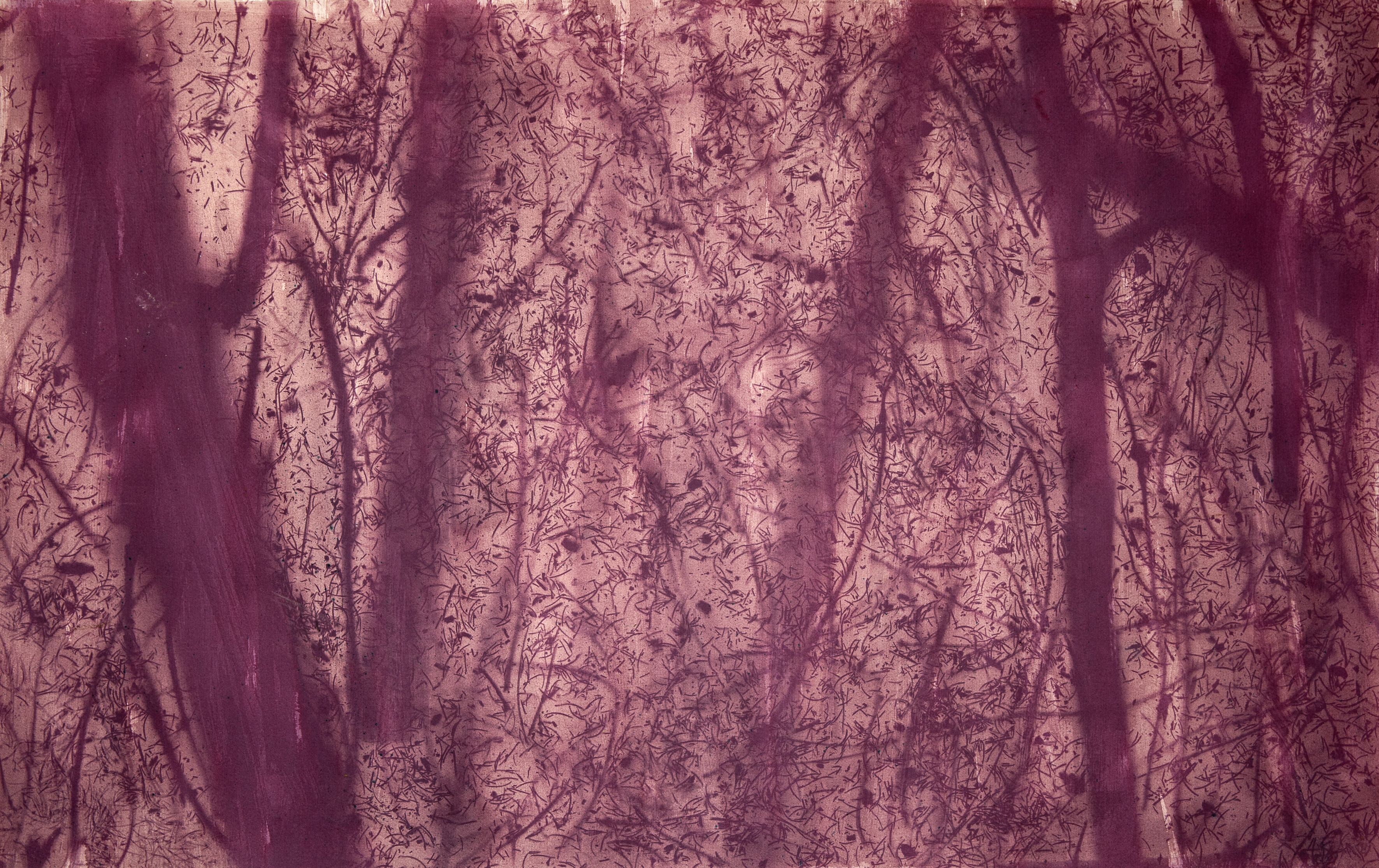 Kristof Vrancken, Albert Kahn, Anthotype, 2026